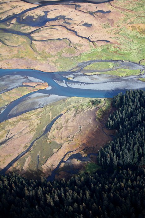 The start of the trail at the flats at the head of Tutka Bay.