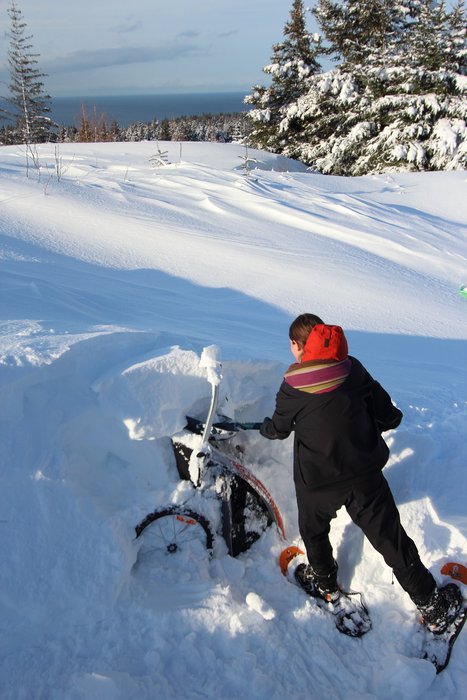 A clear day after a week of snowstorms lets Hig fly home, and lets us unbury what had been buried.