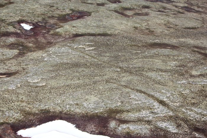 These two semi-linear features cut across old river channels near Lake Iliamna.