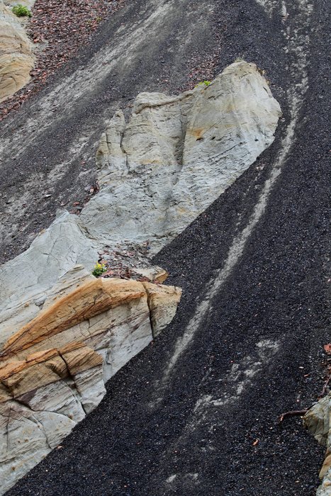 Photos taken during our Usibelli loop trip.