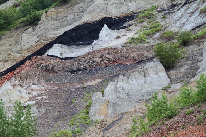 Photos taken during our Usibelli loop trip.