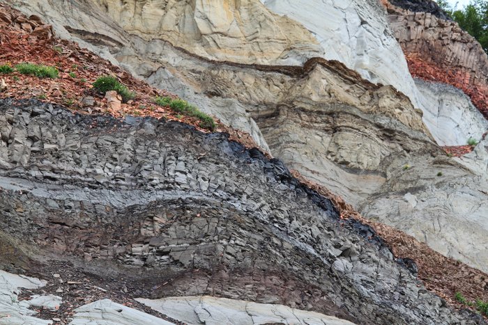 Photos taken during our Usibelli loop trip.