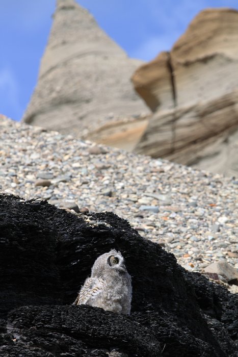 Photos taken during our Usibelli loop trip.