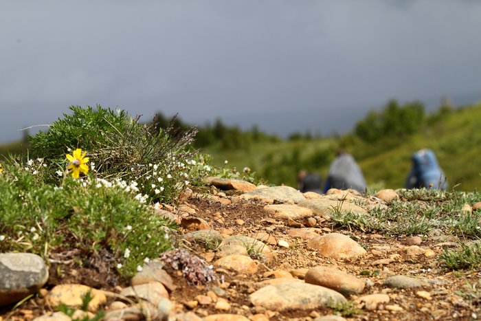 Photos taken during our Usibelli loop trip.