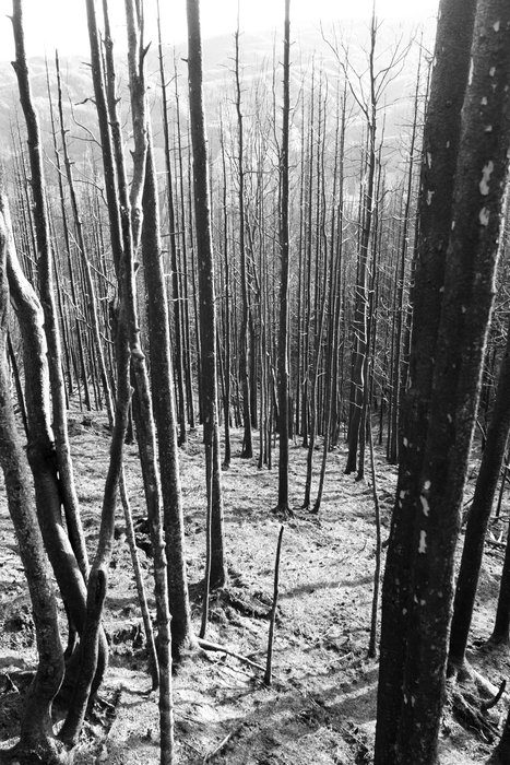 Photos taken during our Usibelli loop trip.