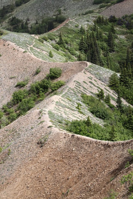 Photos taken during our Usibelli loop trip.