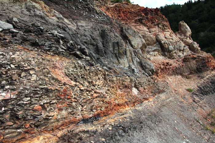 Photos from our Usibelli Loop expedition.