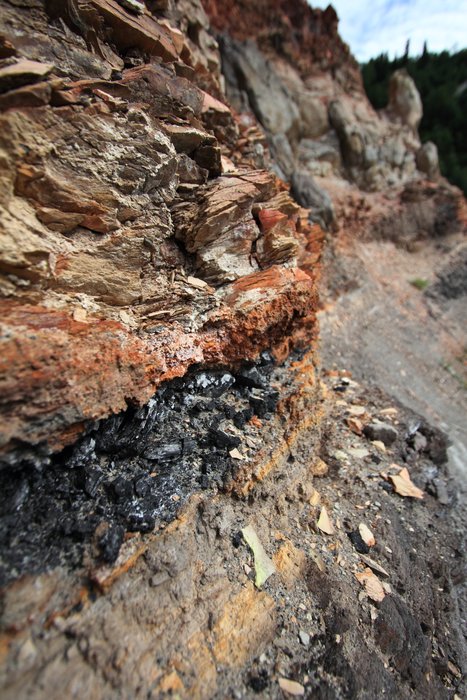 Photos from our Usibelli Loop expedition.