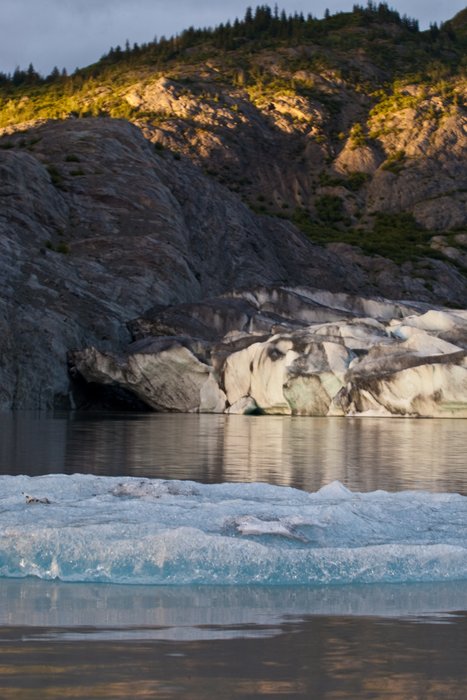 This old ice which was calved from Grewinck glacier has turned blue after being compressed under the weight of the glacier for very long periods of time.