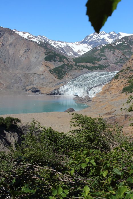 The landslide-generated tsunami of 17 Oct, 2015 in Taan Fjord reached 180 m elevation here, near it's highest point, flattening alder and scouring the ground surface. In the distance you can see the Tyndall Glacier, and the landslide itself.