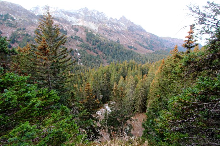 As we extended the Tutka Lake Trail, we stumbled across this nice view of a sharp peak often called Tutka Tusk.
