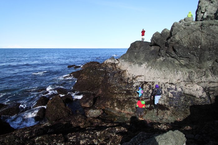 Seldovians join us to walk the coast out of town.