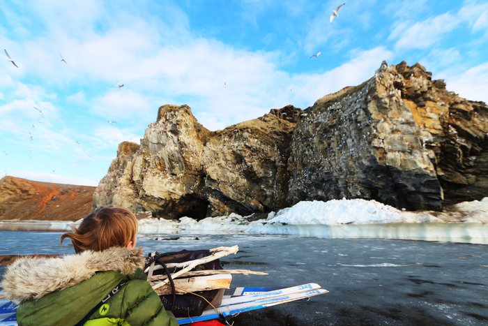 We paddled past cliffs where kittiwakes and murres cascaded over us