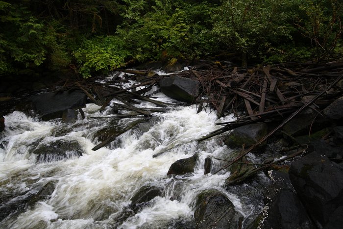 This may be the outlet of water diverted from Cougar Lake behind the Surf Inlet Dam.  We've been able to find only sketchy information, but our understanding was that the dam was built to run water through here to power mine equipment.  We looked, but weren't able to find the other end of the diversion tunnel.