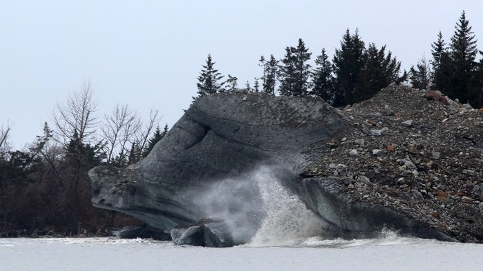At Malapsina's Sitkagi Lagoon, this giant iceberg situated itself near the outlet to the ocean, where surges that overtopped the moraine broke against its front.  The trees behind the berg are growing on rapidly melting glacial ice.