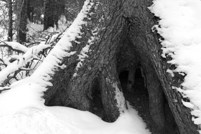 Wandering through the places inbetween