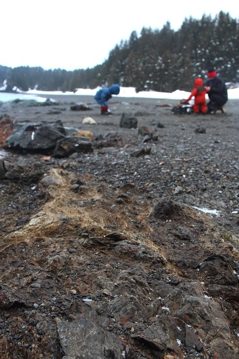 Wandering through the places inbetween