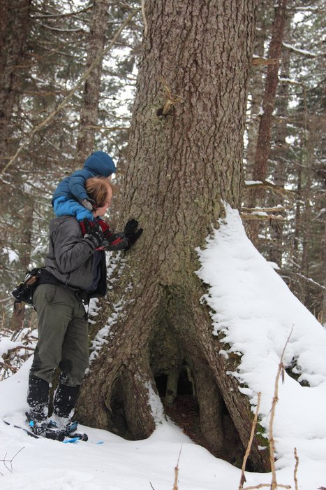 Wandering through the places inbetween