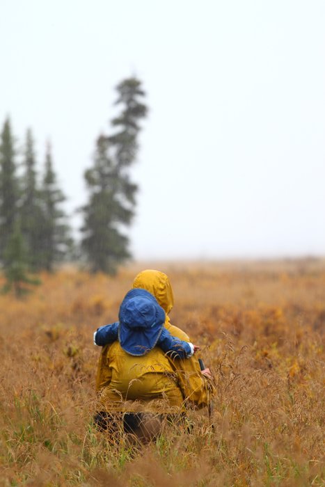 Riding on mom in the chill fog near the Noatak River