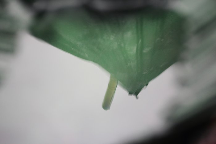 This is the only usable photo we took on this day... the reflection of the tent in a pool of rainwater.