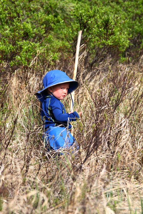 Katmai gets a new walking stick on each trip.