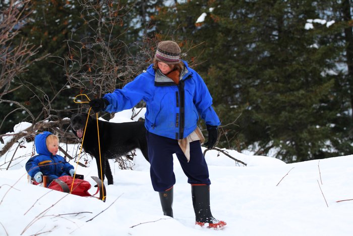 Katmai enjoys sledding in the yard