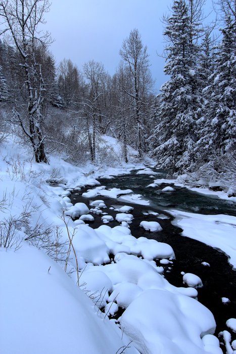 Groundwater keeps Barabara Creek warm enough to be unfrozen even after a cold snowstorm.