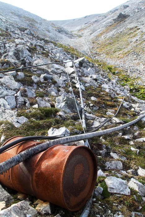 Alaska's State Flower is useful: for floatation, for structure, here as a skid for heavy power lines... even for fuel transport!