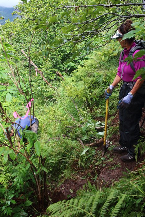 Dense brush on a steep slope is not ideal for building trail. To keep the grade low requires switchbacks, but bears will sometimes bushwhack off the corners. This creates a trail that can be more obvious than the intended route if the brush grows in, misleading people. We have been experimenting with building stone steps on the corners to round them a bit and make it more likely bears won't stray.