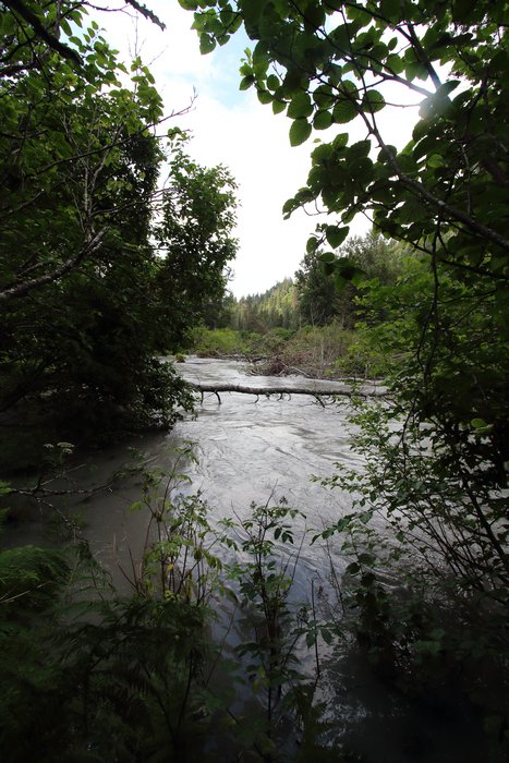 The Wosnesenski River is rerouting from the course it has used since 1964 into Stonehocker Creek that leads to China Poot.