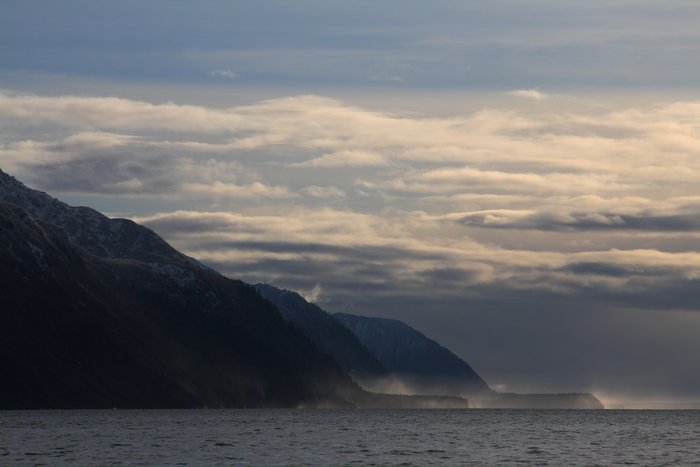 The flat platform of trees along both sides of Yakutat Bay is a beach uplifted during a large earthquake in 1899.