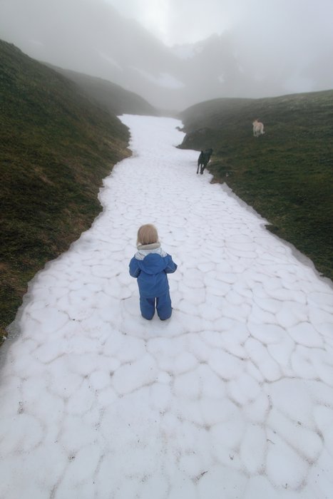 After camping Katmai was ready to go and took off hiking up this snow patch with the dogs.