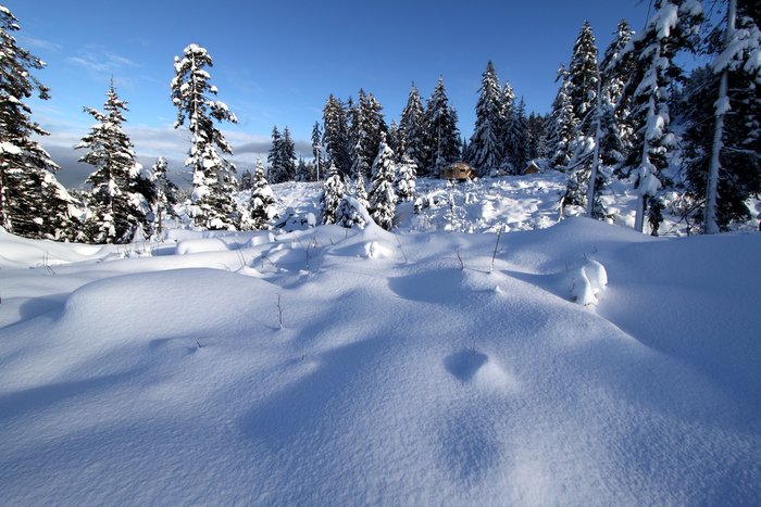 Now there's enough snow to ski over the clearcut in front of our yurt.